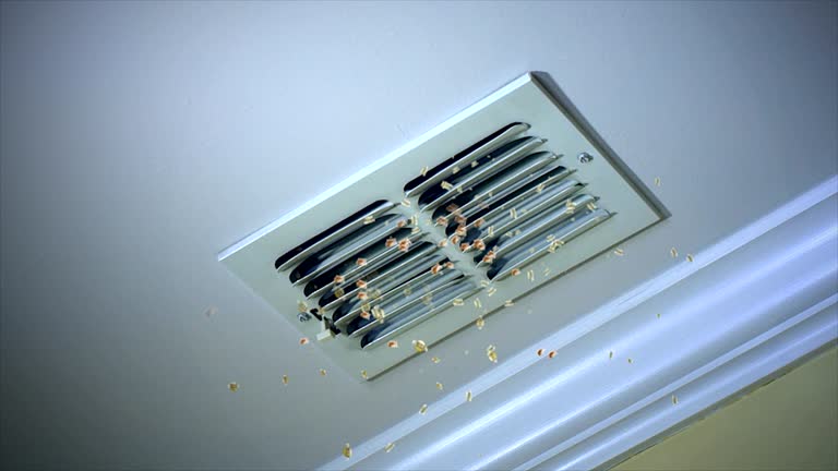 Best Emergency Air Duct Cleaning  in Ranchettes, WY