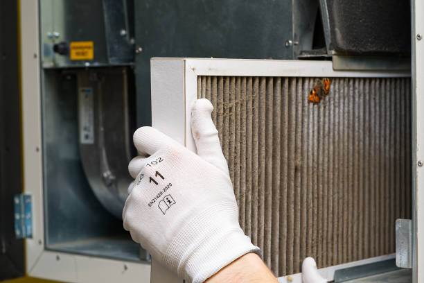 Air Duct Mold Removal in WY