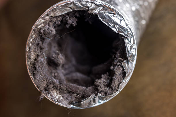 Best Air Duct Cleaning Near Me  in Ranchettes, WY